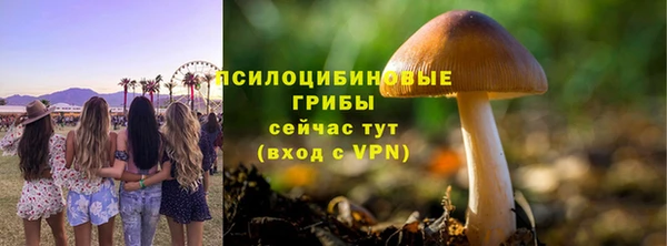 дживик Володарск