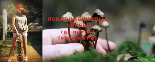 ГАЛЛЮЦИНОГЕННЫЕ ГРИБЫ Вязьма