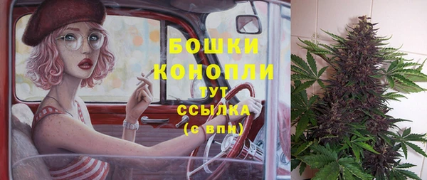 ПСИЛОЦИБИНОВЫЕ ГРИБЫ Волосово