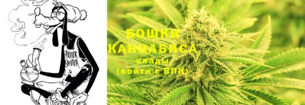 ГАЛЛЮЦИНОГЕННЫЕ ГРИБЫ Вязьма