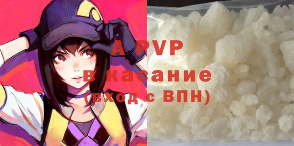 ПСИЛОЦИБИНОВЫЕ ГРИБЫ Волосово