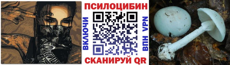 Псилоцибиновые грибы Magic Shrooms  Ишим 